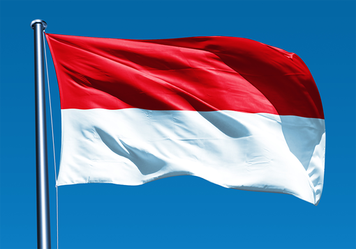 Indonesia IELTS user